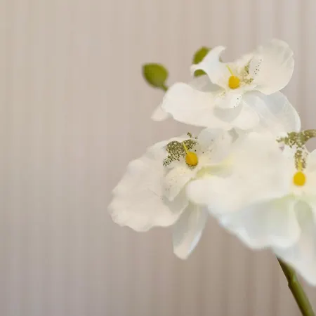 Lägenhet Am Seerand Joachimsthal