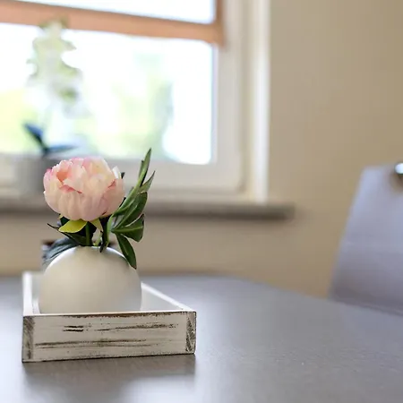 Am Seerand * Joachimsthal