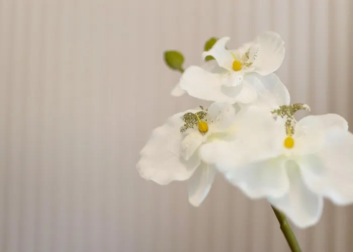 Apartamento Am Seerand Joachimsthal