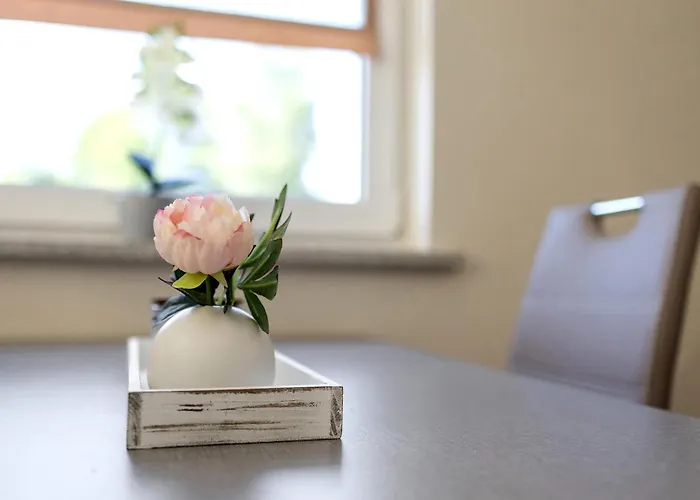 Am Seerand * Joachimsthal